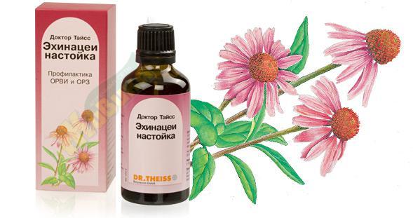 Купить AROMATICA Настойка эхинацеи, 50 мл c доставкой | motoservice-nn.ru