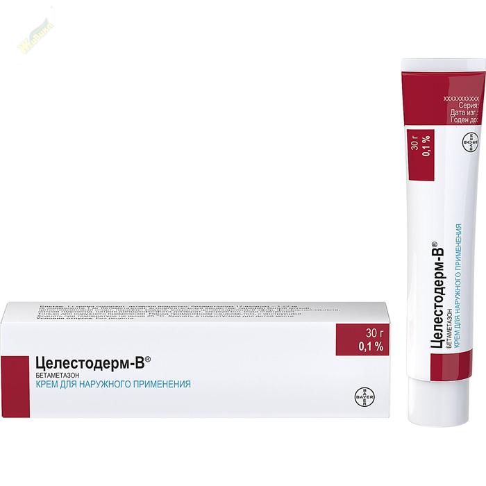 Жыныстық сперматозоидтар керемет бейнелер